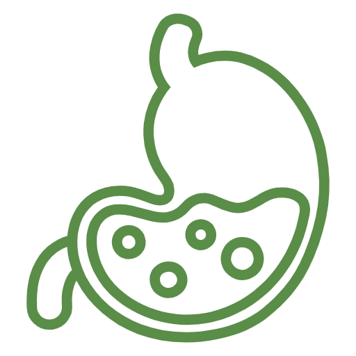 stomach